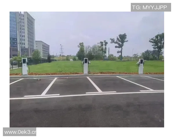 充电桩发展趋势与智能电动车互联创新探索助力绿色出行新时代 充电桩发展趋势与智能电动车互联创新探索助力绿色出行新时代